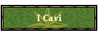 I Cavi